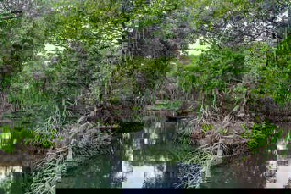 /clients/Rif-Mangrove-Park/Rif-Mangrove-4.jpg